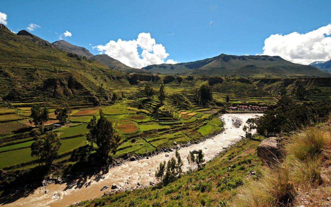 Cañon del Colca 1 dia